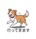 名前入りボーダーコリーレッド（個別スタンプ：24）