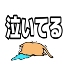 語彙力が地獄のネコ8【デカ文字】（個別スタンプ：5）