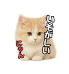 癒し系会話verマンチカン（個別スタンプ：3）