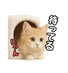 癒し系会話verマンチカン（個別スタンプ：5）