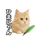 癒し系会話verマンチカン（個別スタンプ：7）