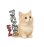 癒し系会話verマンチカン（個別スタンプ：8）