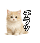 癒し系会話verマンチカン（個別スタンプ：10）