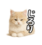 癒し系会話verマンチカン（個別スタンプ：11）