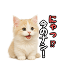 癒し系会話verマンチカン（個別スタンプ：14）