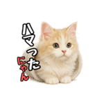 癒し系会話verマンチカン（個別スタンプ：15）