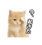 癒し系会話verマンチカン（個別スタンプ：18）