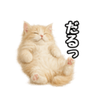 癒し系会話verマンチカン（個別スタンプ：20）