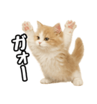 癒し系会話verマンチカン（個別スタンプ：28）
