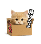 癒し系会話verマンチカン（個別スタンプ：30）