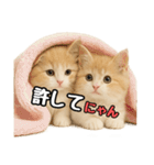 癒し系会話verマンチカン（個別スタンプ：34）