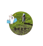 せなぴの日常スタンプ1（個別スタンプ：8）