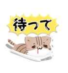 毎日五月病なねこたち 3D風！でか文字（個別スタンプ：14）