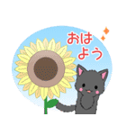 飛び出す！ちび黒モフにゃん11【夏】（個別スタンプ：1）