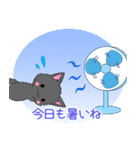 飛び出す！ちび黒モフにゃん11【夏】（個別スタンプ：15）