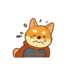 柴王とチワワ王（個別スタンプ：3）