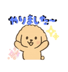 ゆるふわプードルさん（個別スタンプ：3）
