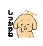 ゆるふわプードルさん（個別スタンプ：5）