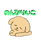 ゆるふわプードルさん（個別スタンプ：7）