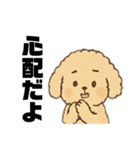 ゆるふわプードルさん（個別スタンプ：9）