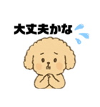 ゆるふわプードルさん（個別スタンプ：10）