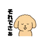 ゆるふわプードルさん（個別スタンプ：12）