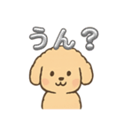 ゆるふわプードルさん（個別スタンプ：13）
