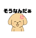ゆるふわプードルさん（個別スタンプ：15）
