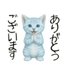 推し猫【青】………………….（個別スタンプ：16）