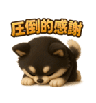『相手を褒めたいときに』3D黒ポメ（個別スタンプ：20）