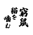 ことわざ 文字だけシンプル！使いやすい！（個別スタンプ：25）