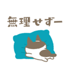 こねことことり、毎日話そう（個別スタンプ：34）