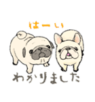 鼻ぺちゃ犬の使いやすいスタンプ（個別スタンプ：1）