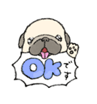 鼻ぺちゃ犬の使いやすいスタンプ（個別スタンプ：6）