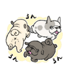 鼻ぺちゃ犬の使いやすいスタンプ（個別スタンプ：10）