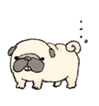 鼻ぺちゃ犬の使いやすいスタンプ（個別スタンプ：11）