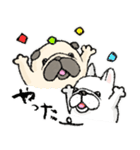 鼻ぺちゃ犬の使いやすいスタンプ（個別スタンプ：13）
