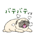 鼻ぺちゃ犬の使いやすいスタンプ（個別スタンプ：16）