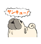 鼻ぺちゃ犬の使いやすいスタンプ（個別スタンプ：20）