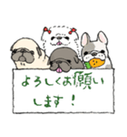 鼻ぺちゃ犬の使いやすいスタンプ（個別スタンプ：23）