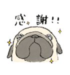 鼻ぺちゃ犬の使いやすいスタンプ（個別スタンプ：24）