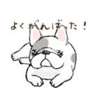 鼻ぺちゃ犬の使いやすいスタンプ（個別スタンプ：28）