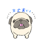 鼻ぺちゃ犬の使いやすいスタンプ（個別スタンプ：29）
