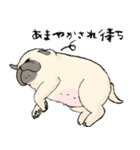 鼻ぺちゃ犬の使いやすいスタンプ（個別スタンプ：33）
