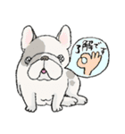 鼻ぺちゃ犬の使いやすいスタンプ（個別スタンプ：35）
