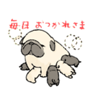 鼻ぺちゃ犬の使いやすいスタンプ（個別スタンプ：38）