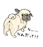 鼻ぺちゃ犬の使いやすいスタンプ（個別スタンプ：39）