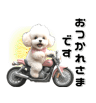 敬語♡バイク好き トイプードル（個別スタンプ：2）