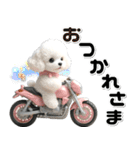 敬語♡バイク好き トイプードル（個別スタンプ：3）