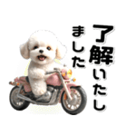 敬語♡バイク好き トイプードル（個別スタンプ：5）